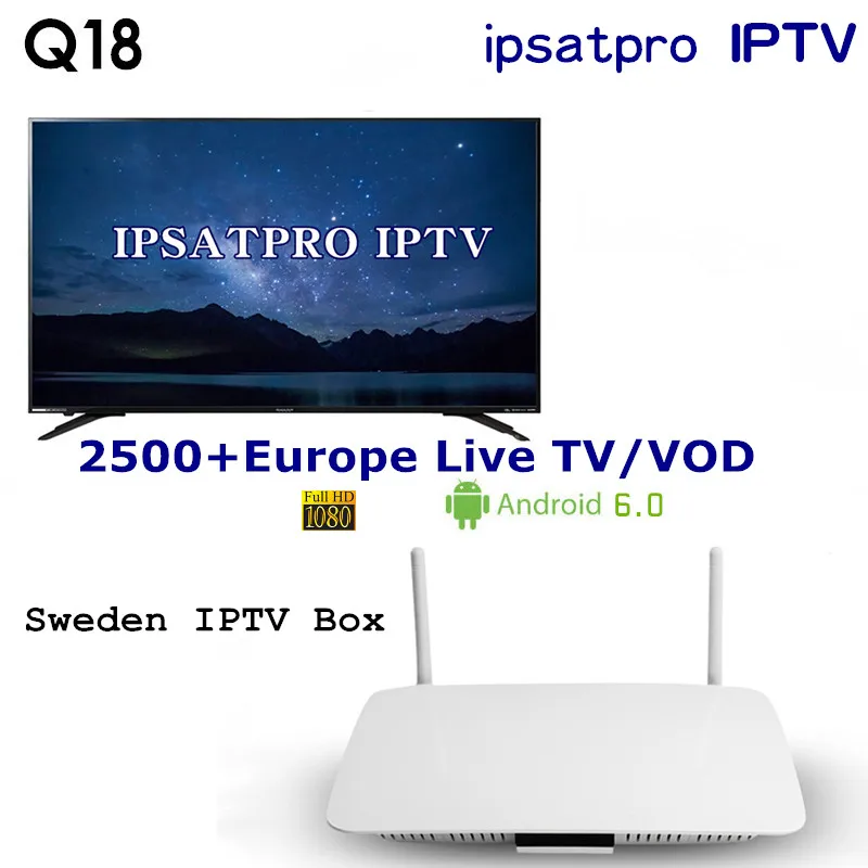 

12 Months Sweden IPTV Subscription Swedish Spanish Dutch French Arabic IPTV Q18 Android 6.0 TV Box 4K Smart IPTV OTT Player