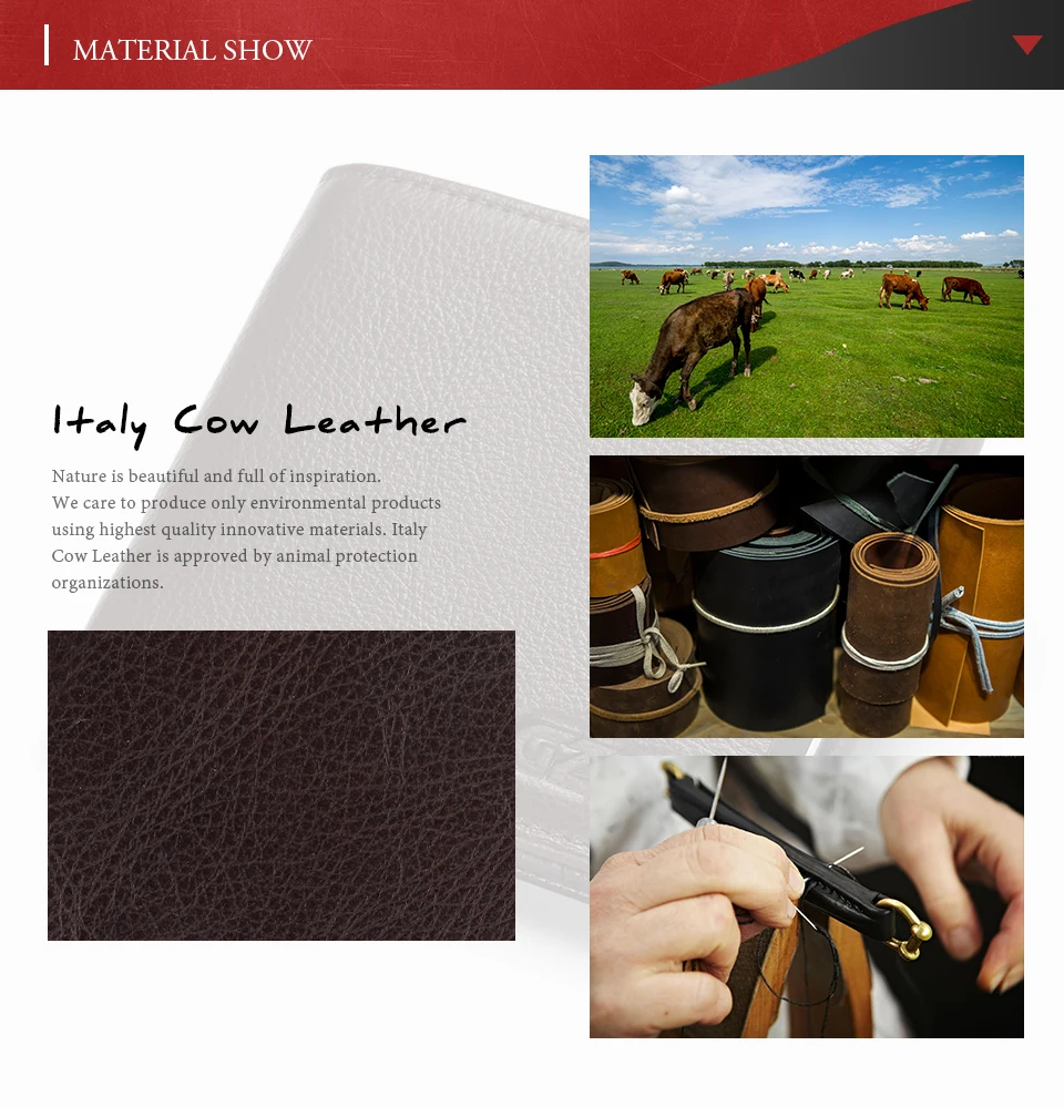 woman-wallet-coffee-S_11