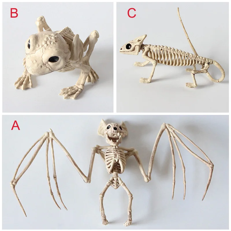 

Interesting Hot Animal Skeleton Model Bat/Frog/Lizard Bones Halloween Party Decoration Quality Dropshipping LC