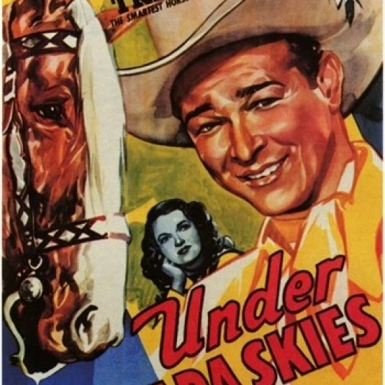 Under Nevada Skies Movie Poster (11 x 17)