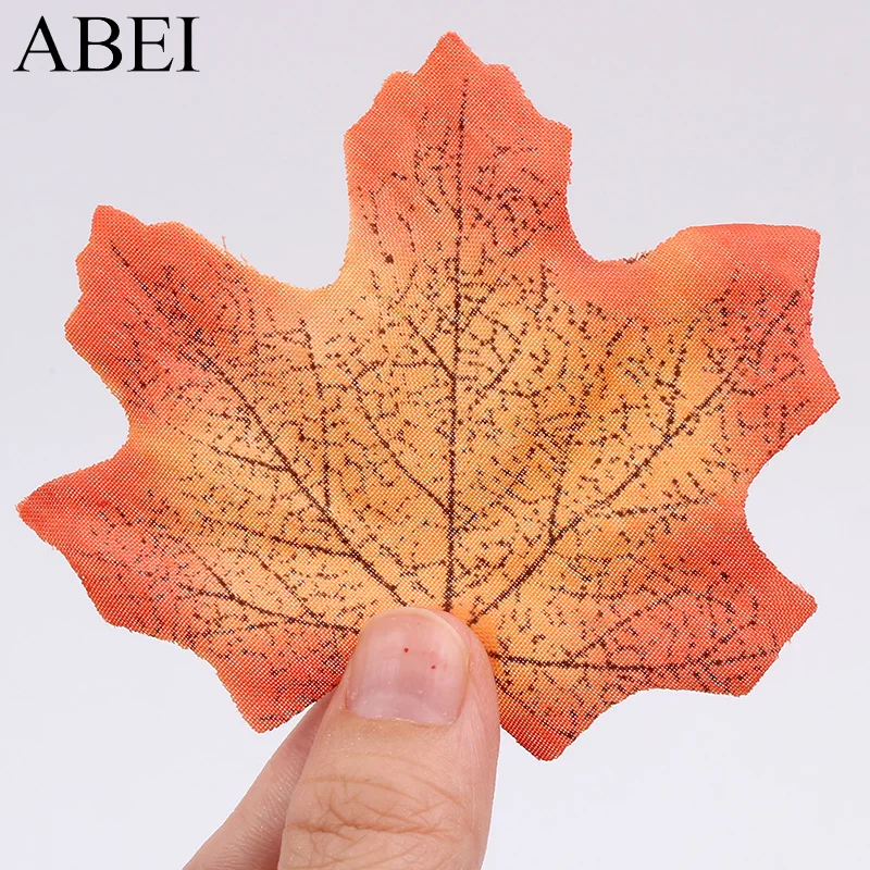 IMG_0213