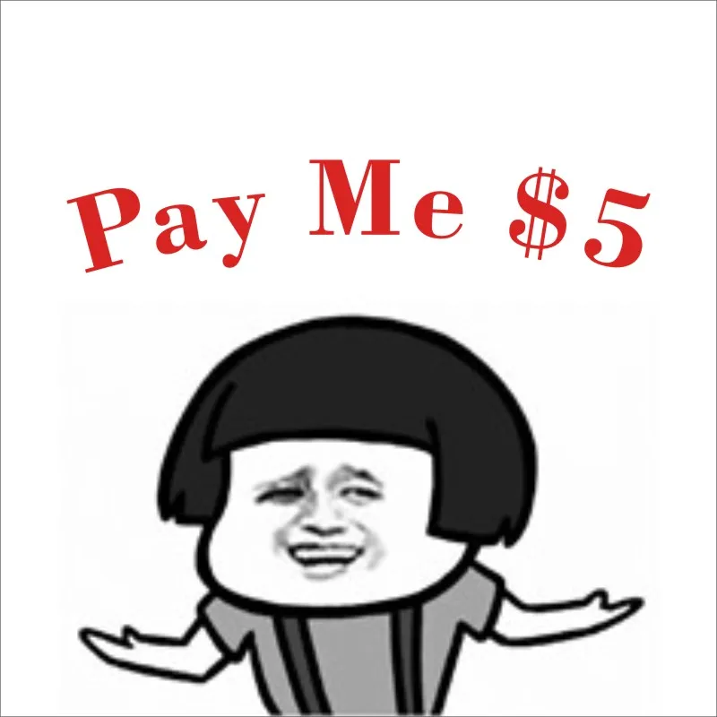 

The link for pay the different payment,Thanks for your support!
