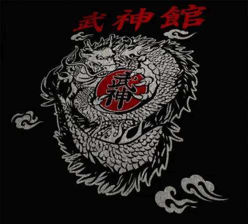 Японский Shinobi Ninja Bujinkan Ninjutsu Budo Taijutsu Dragon Symbol, новинка, Хлопковая мужская одежда, футболки с рисунками