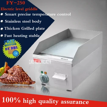 

FY-250 Commercial Stainless steel Electric Griddle double plate precise temperature control 50''-300'' 220V/2000W