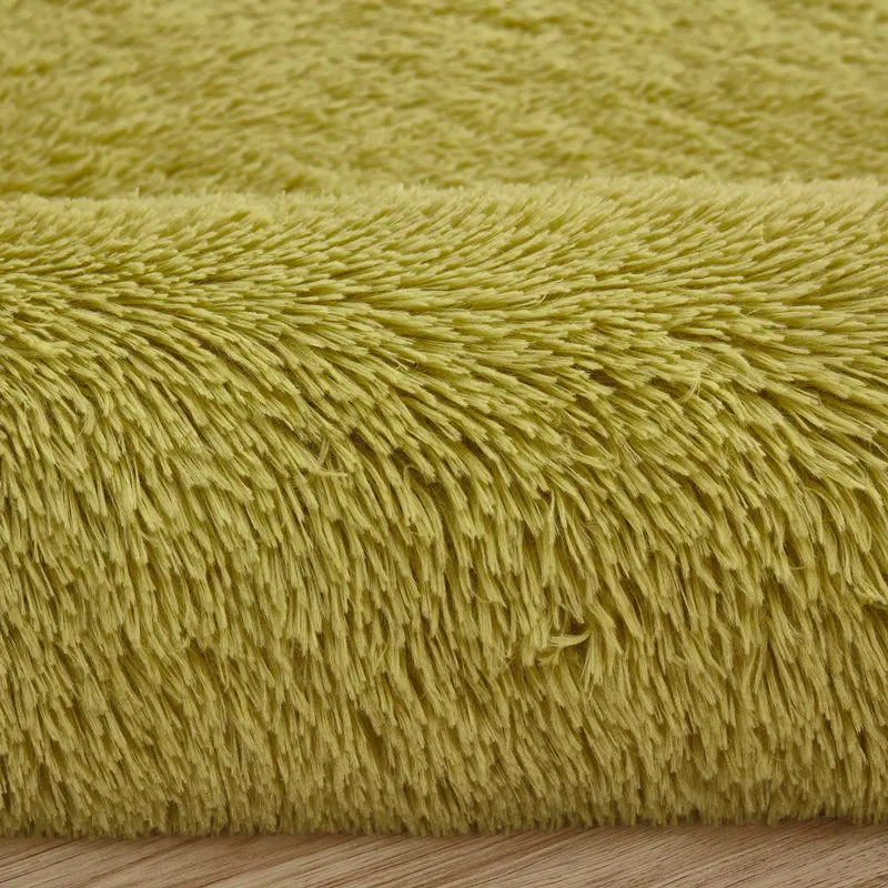 Soft Shaggy Carpets For Living Room Solid Carpet Bedroom Kids Room Fluffy Rug Sofa Coffee Table Floor Mat Home Entrance Doormat