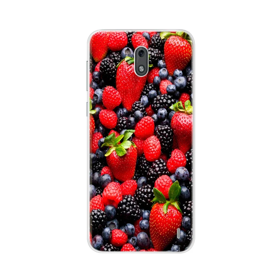 5 0 &quotмилый чехол из ТПУ для Nokia 2 мягкие силиконовые чехлы Nokia2 бампер с 3D цветочным