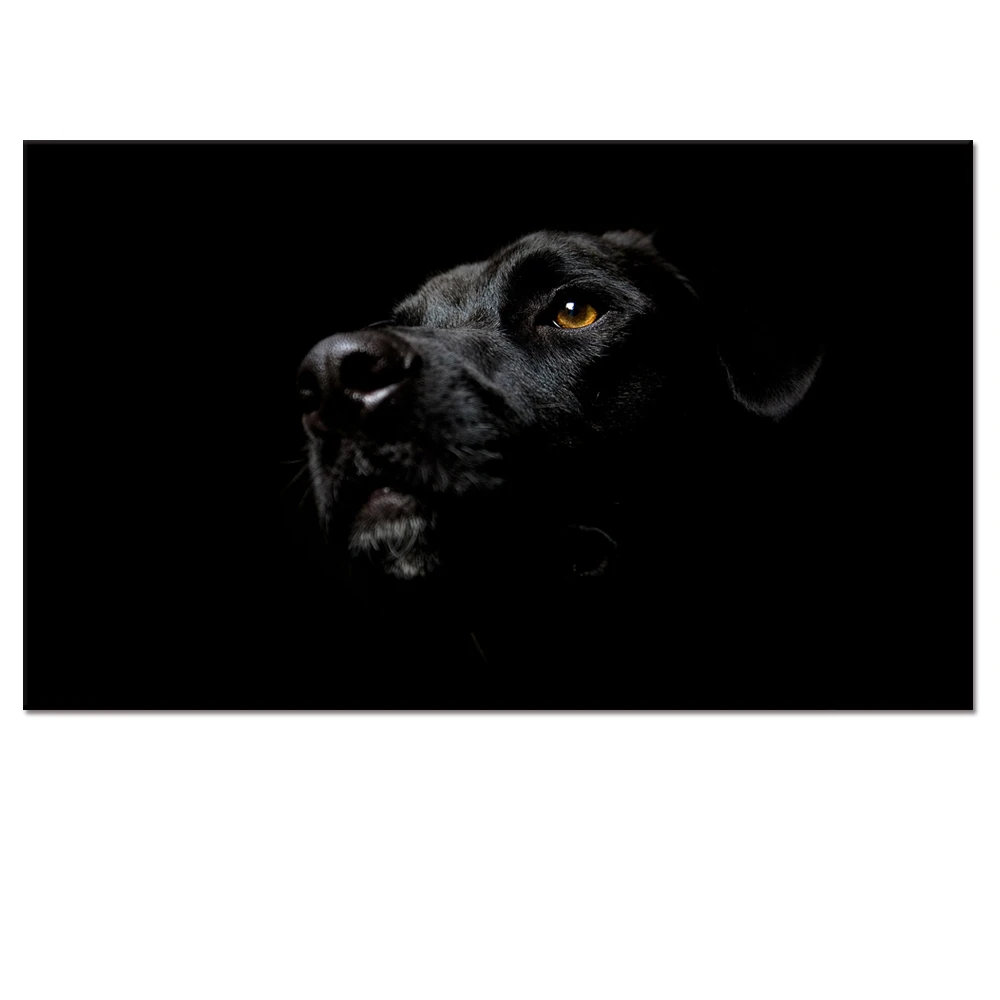 Visual Art Decor Black Dog Picture Canvas Print Artistics Animal Photo