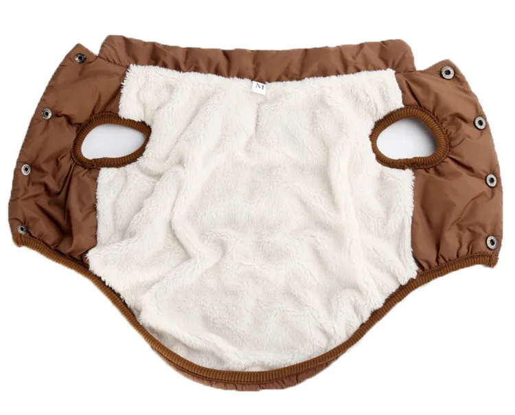 small dog coat