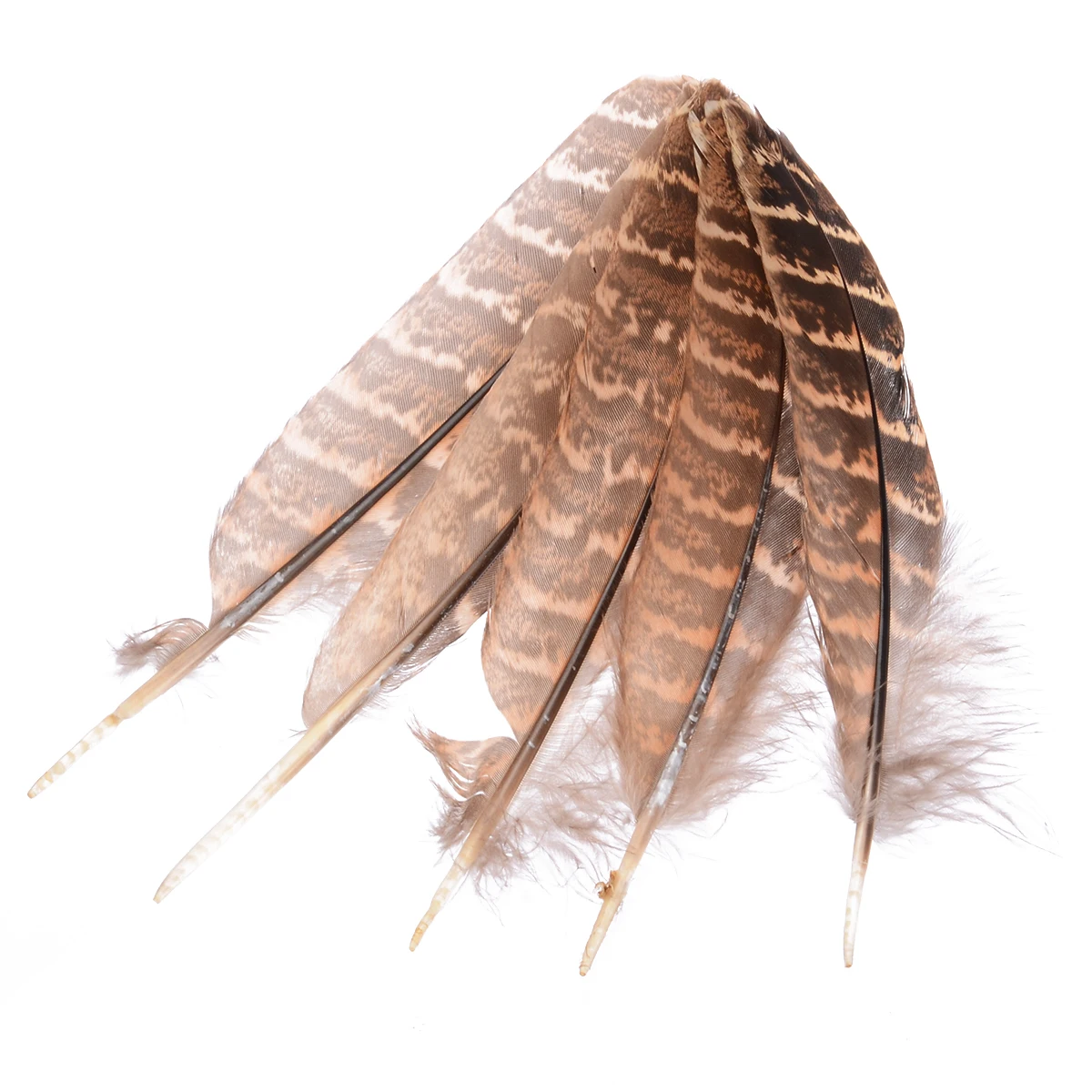 50pcs/Set Natural Feather Hen Pheasant Tail Feathers DIY Craft Material