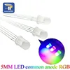 20Pcs Multicolor 4pin 5mm RGB Led Diode Light Lamp Tricolor Round Common Anode LED F5 Light Emitting Diode Red Green Blue ► Photo 1/2