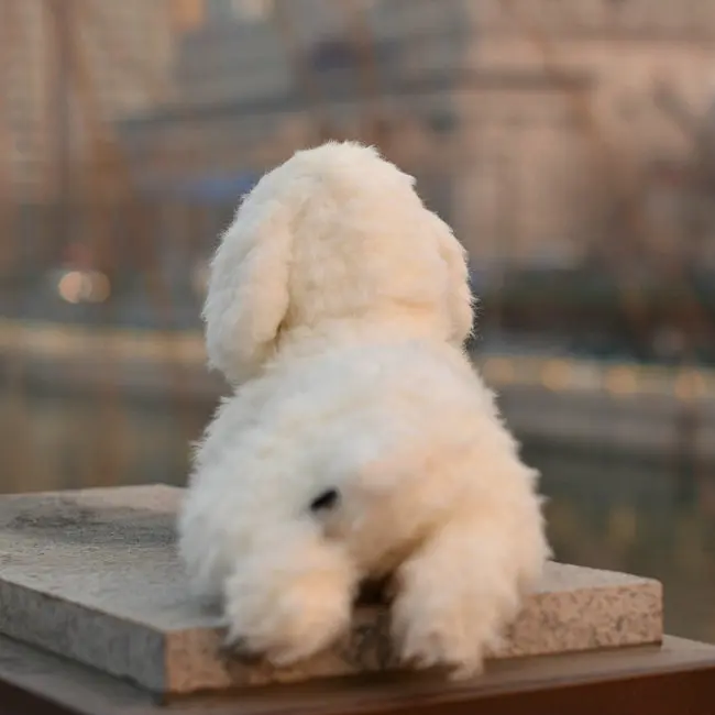 Оптовая торговля/розничная творческий моделирование 30 см и 37 см супер мило собака плюшевые игрушки Мягкая Игрушка подарок для ребенка