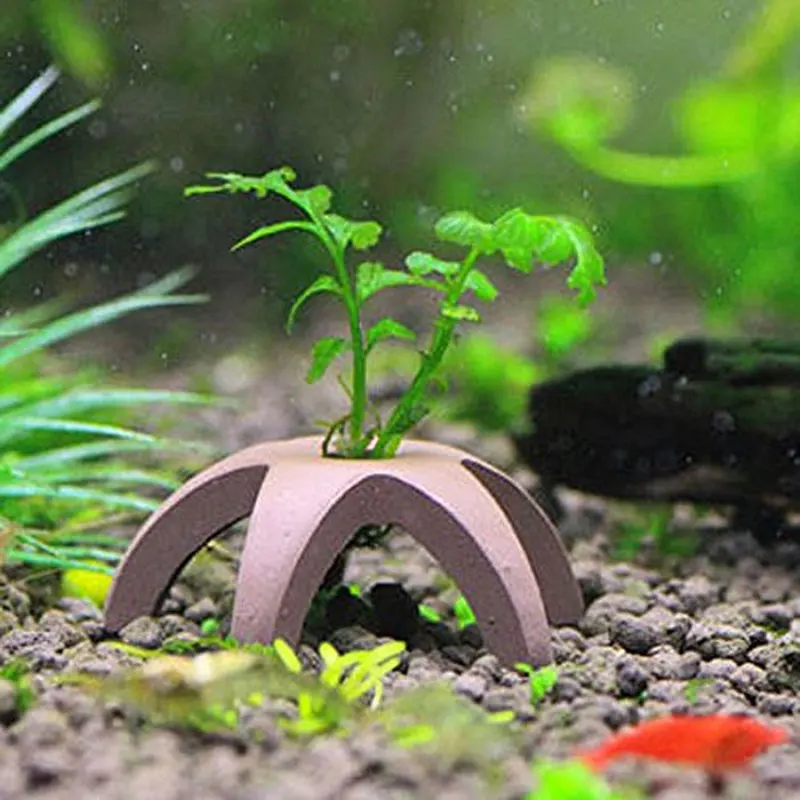 5 Teile Los Starfish Hiding Cave Garnelen Haus Tonwarenlehm