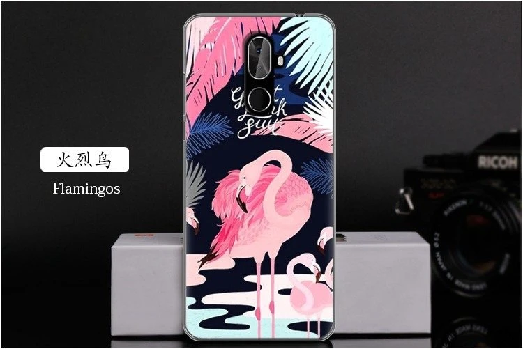  Flamingos