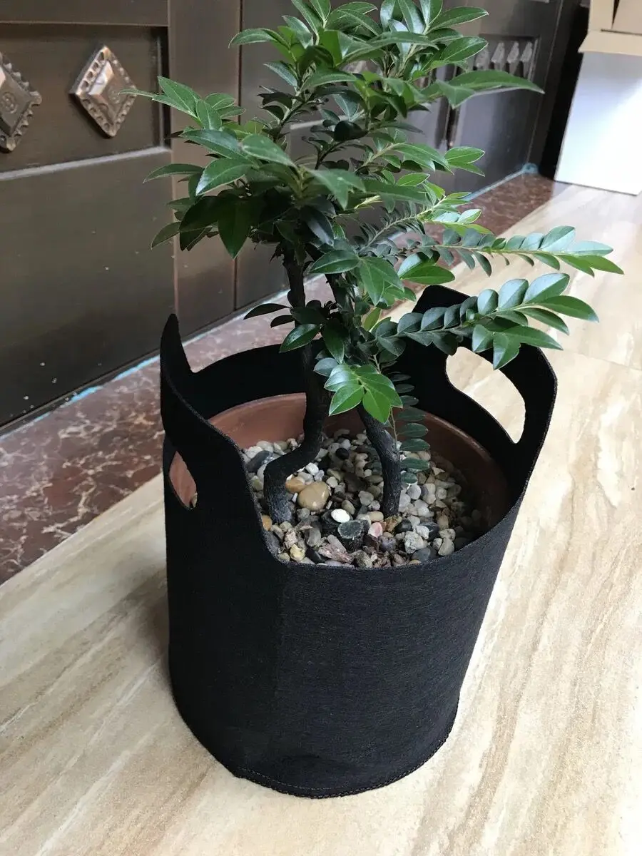 2 gallon,10pcs.Black non woven beauty bag /grow bag tree planting bag