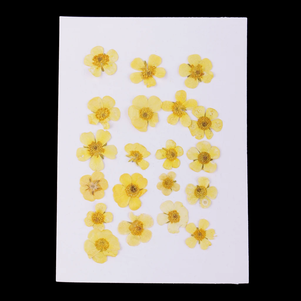 Pack of 50pcs Natural Dried Flower Real Flower Mixed For DIY Resin Ornament Craft Card Making Scrapbooking Embellishments
