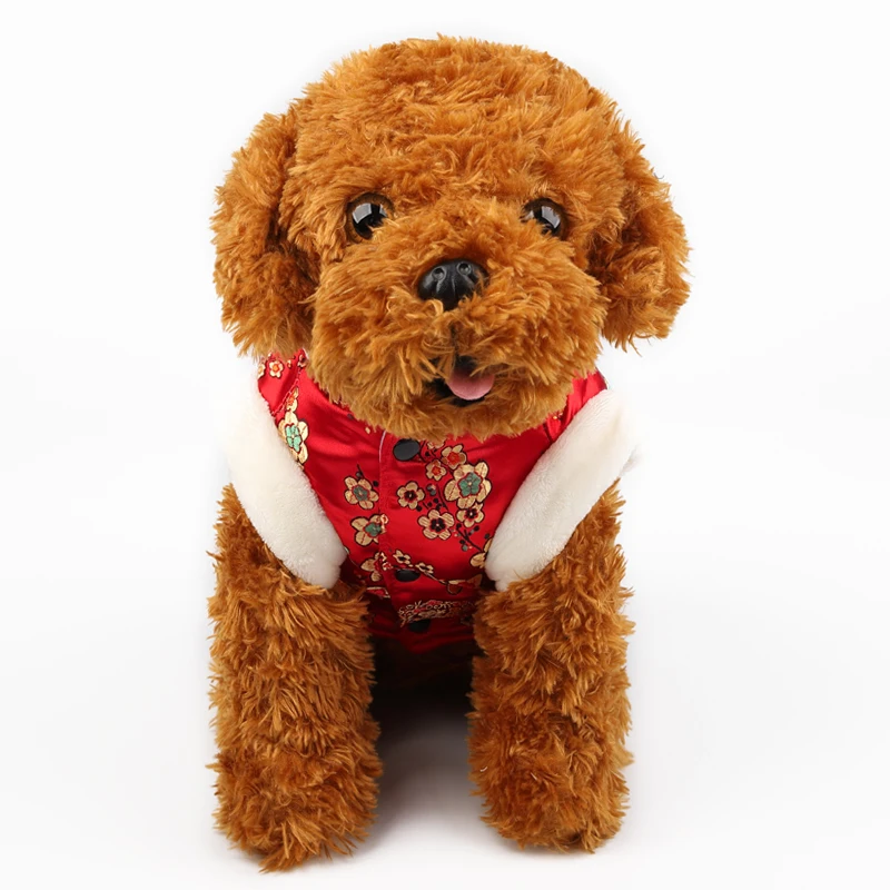04 pomeranian 