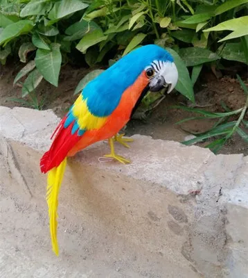 

colourful feathers parrot model beautiful parrot about 30cm bird handicraft prop,home garden decoration gift p2507