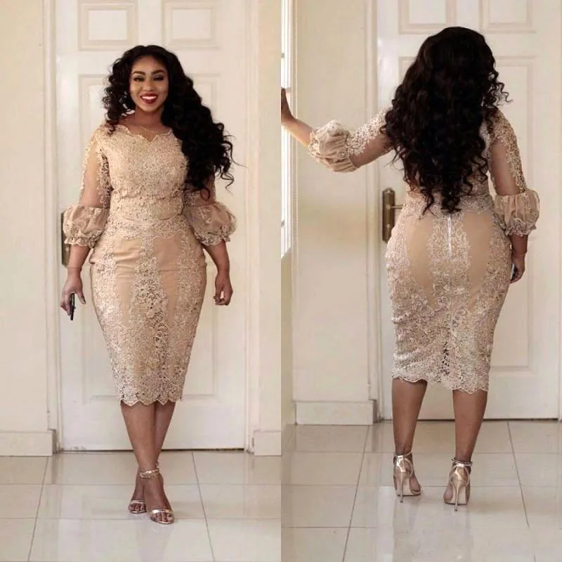 Champagne Plus Size Mother Of The Bride Dress Long Sleeve Lace