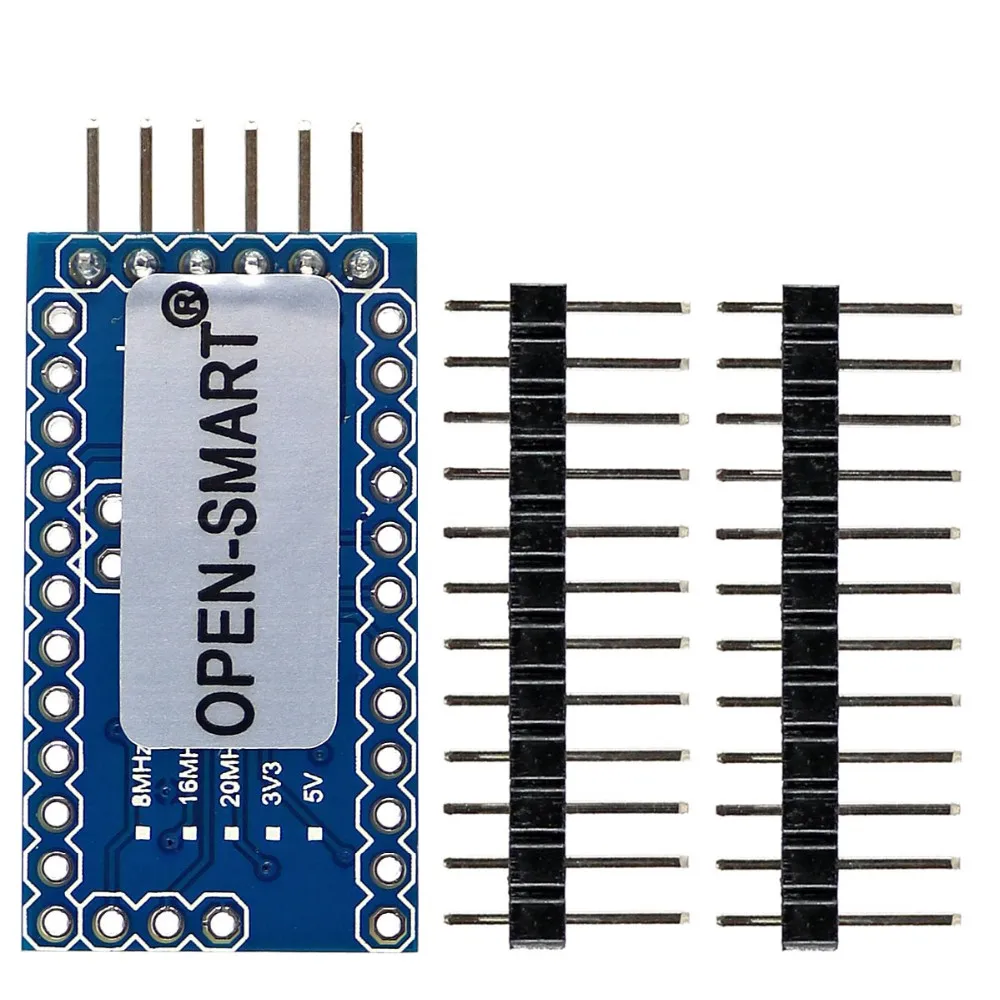 Pro Mini  2