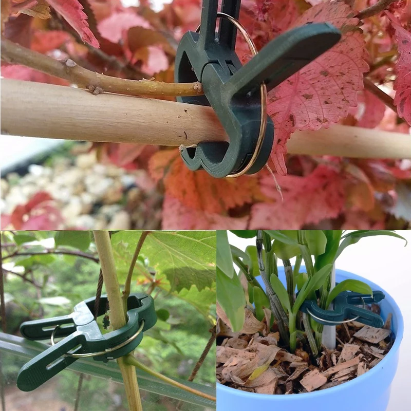 

20pcs Plastic Plant Fixed Clips For Fruit Vegetables Potted Plant Hanging Vine Plants Greenhouse Vegetables Garden Ornament
