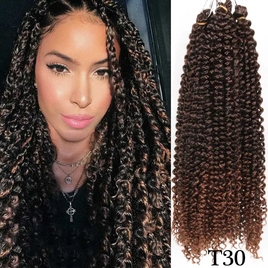

AliLeader 18 Inch Passion Twist Hair Extensions Black Crochet Twist Braids Hair Synthetic Crochet Hair Extensions For Afro Women
