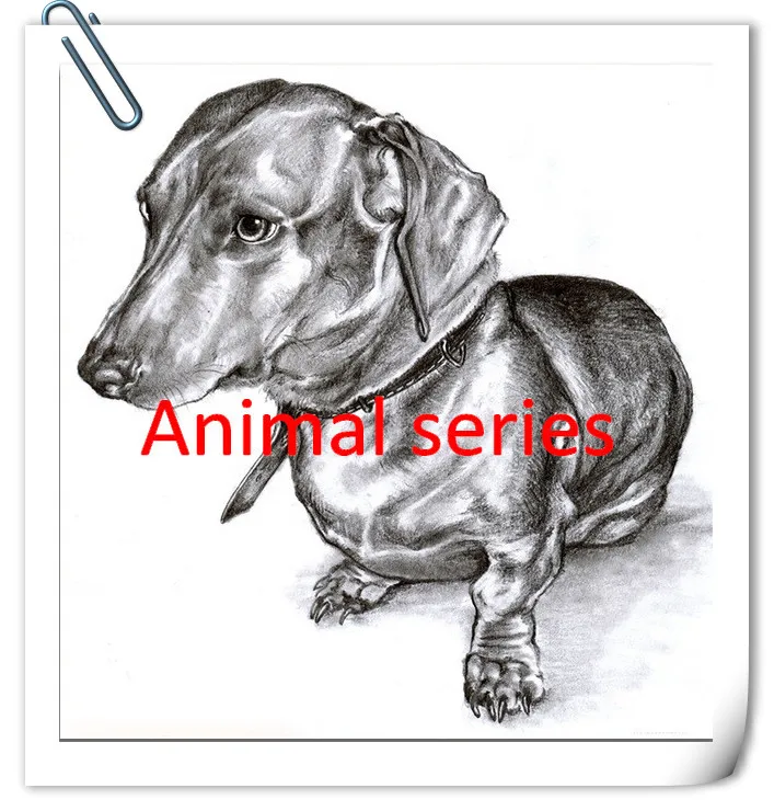 Diamond-Painting-Cross-Stitch-Animals-Kits-For-Embroidery-The-Dog-Pictures-With-Rhinestones-And-Diamonds-Handcraft.jpg_640x640__