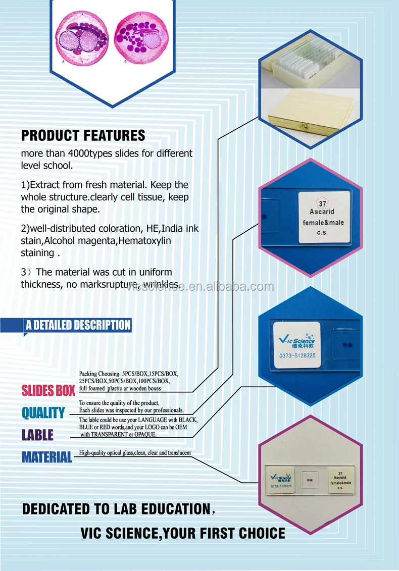 China slide glass Suppliers