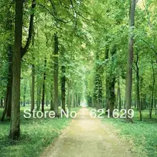 Dense woods 8’x8′ CP Computer-painted Scenic Photography Background Photo Studio Backdrop ZJZ-149