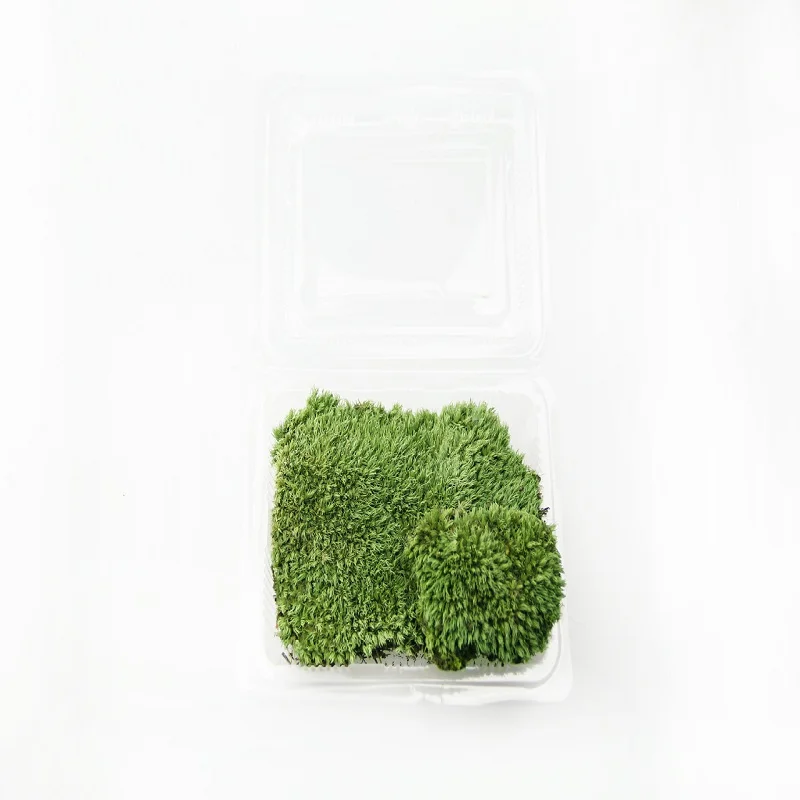 Искусственный мох высокого качества товары из Моха живой мох искусственное растение живое растение настоящая природа растение зеленая трава