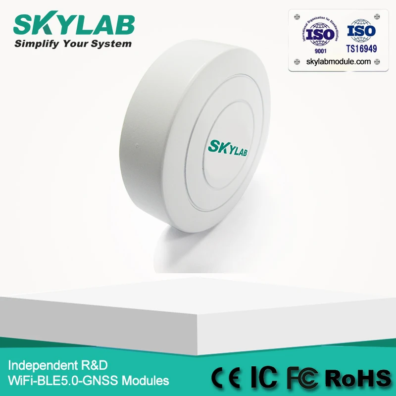 SKYLAB VG01 3M Стикеры nRF51822 UUID программируемый BLE Beacon с CR2477 монета/кнопка Батарея