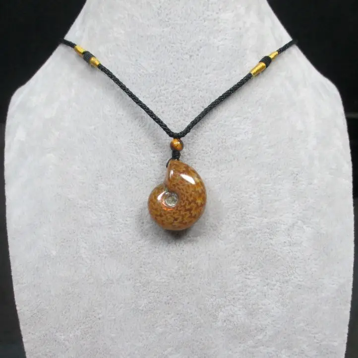 

Natural color spots screw, the nautilus, chrysanthemum stone, snail, fossil seashells necklace pendant, charm 111