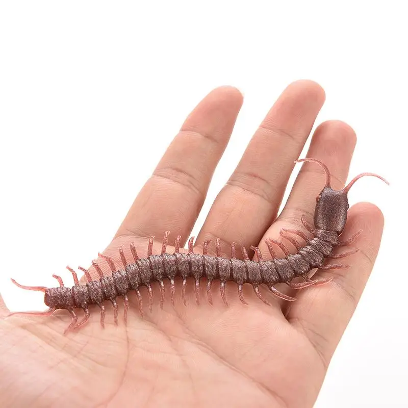 centipede toy