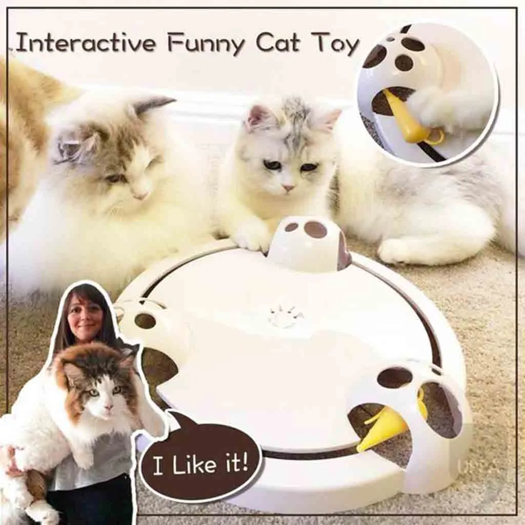 

Interactive Funny Electric Cat Toy The Cat Turntable Carousel Tray 4 mode Mice & Animal Toys Shadowles cats pet products 2019