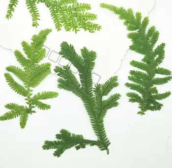 

120pcs Pressed Dried Selaginella uncinata Leaf Plants Herbarium For Jewelry Making Face Makeup Postcard Frame Phone Case