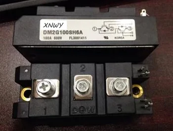 

XNWY DM2G100SH6A