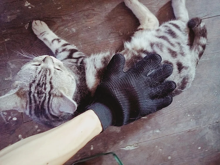 true touch (2)