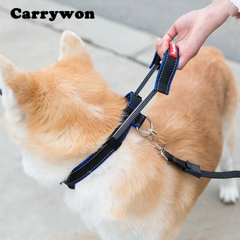 Carrywon Pets Multifunctional Dog Collars Leashes Durable Nylon
