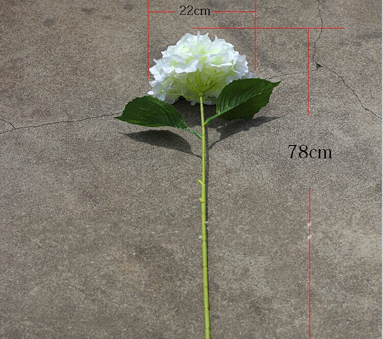 000_conew8(2).jpg1.jpg1.jpg1.jpg1.jpg3.jpg