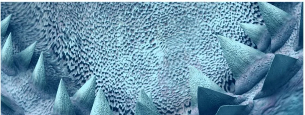 36020160414135647265