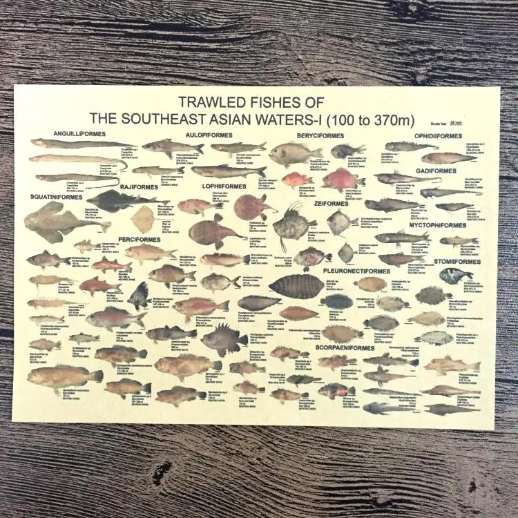 

Vintage Kind Fish chart painting Wall Art Crafts Sticker Retro Poster Bar/cafe/Pub Living room home Decoration 42x30cm JIP-B128