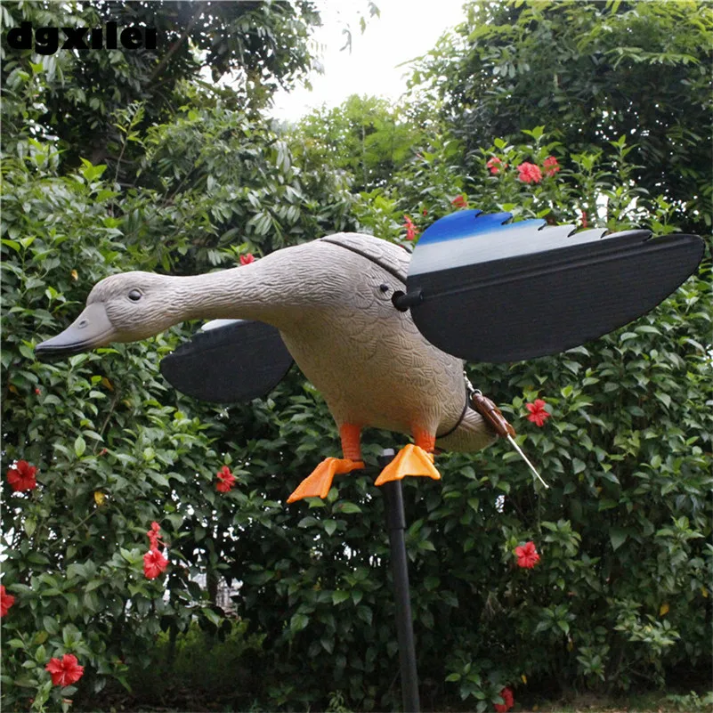 Hunting Duck (37)