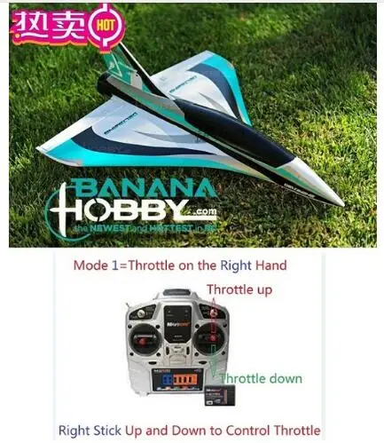 

Mini Blackbirds Delta Wing 50mm rc plane jet toy hobby EPO ready to fly RTF, NO battery