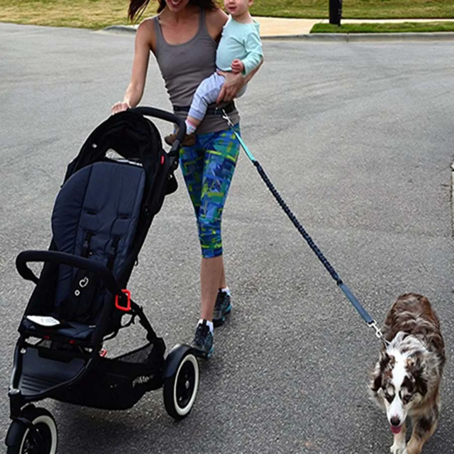 Hands Free Dog Leash Durable Bungee Lead Reflective Stitching for