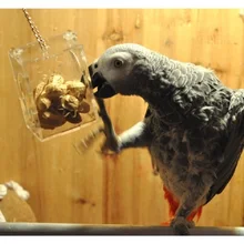Parrot Bird Toys Hang Foraging Pet Treat Hunt Macaw Cockatoo Budgie Food Feeder Bird Product Funny
