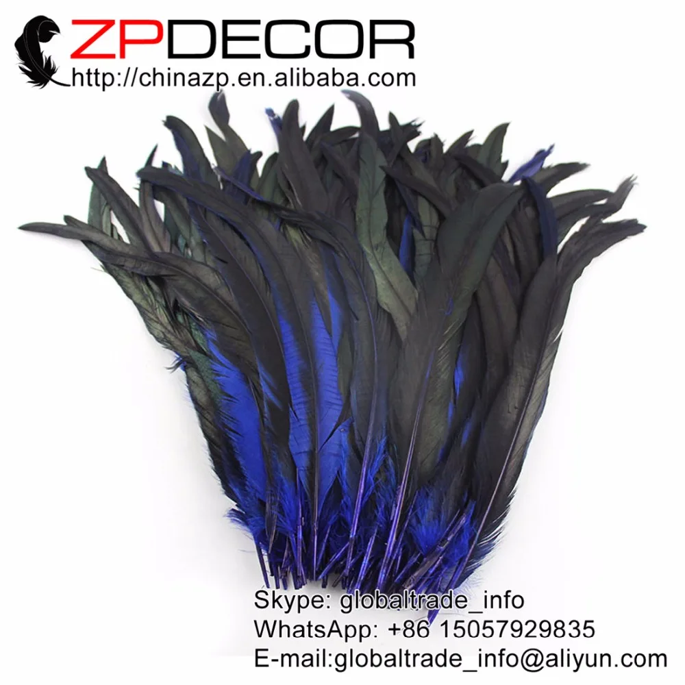 rooster feathers (5)