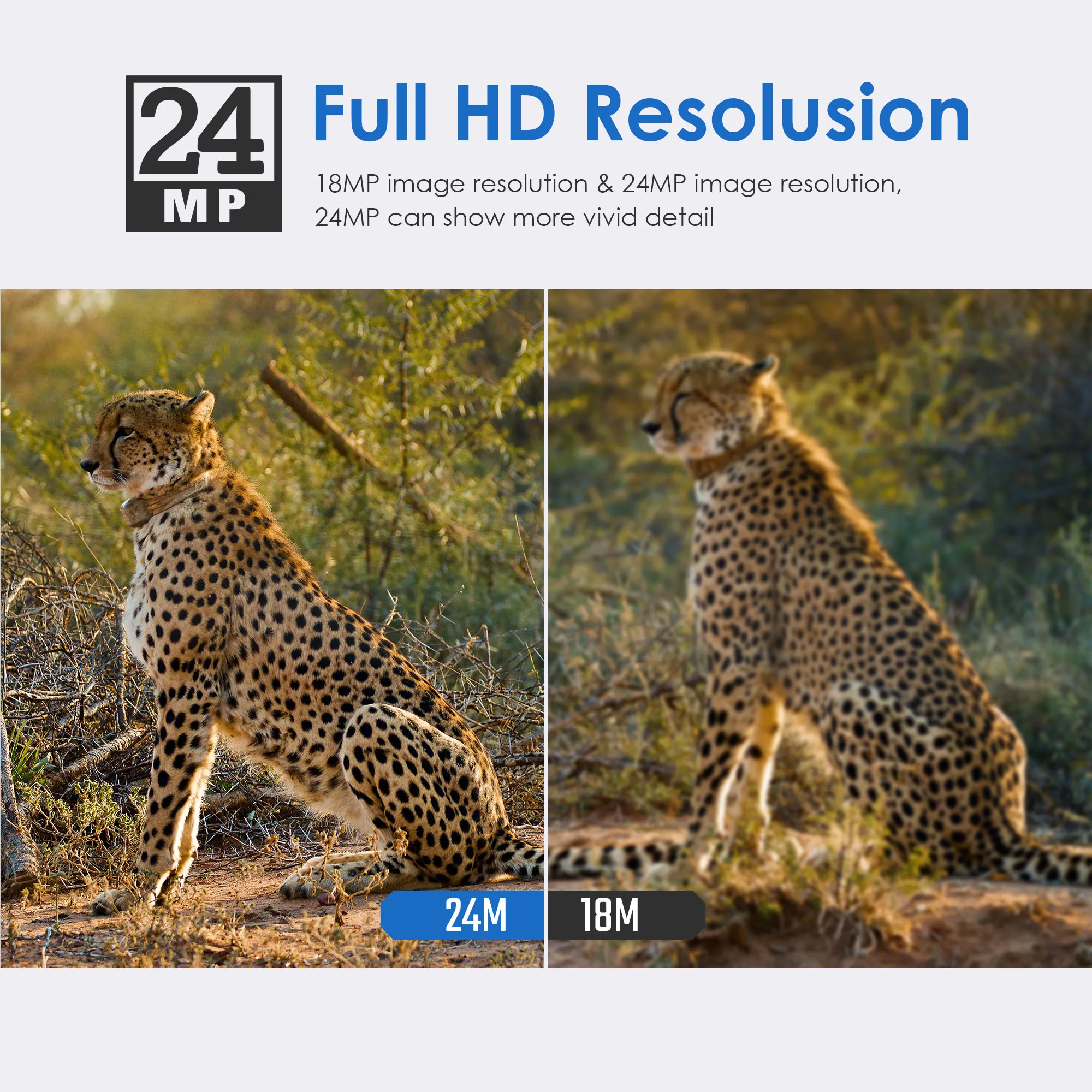Bolyguard охотничья камера 3g MMS SMS Дикая камера 24 м 1080PHD 90ft PIR ночное видение фото ловушки скаутинг камера fototrappola
