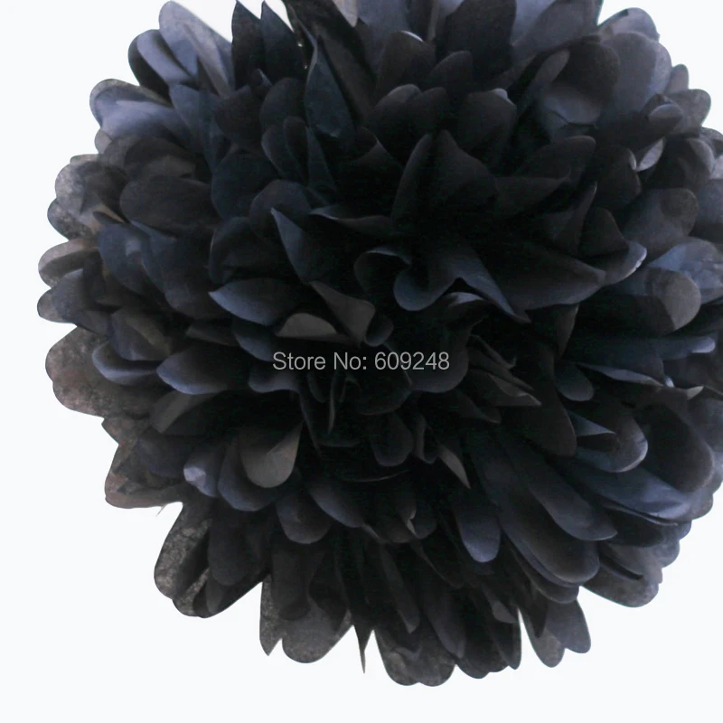 alipom8014.jpg