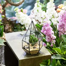 Succulent Plant Planter Decor Hanging Indoor Hanging Geometric Diamond Terrarium glass jar