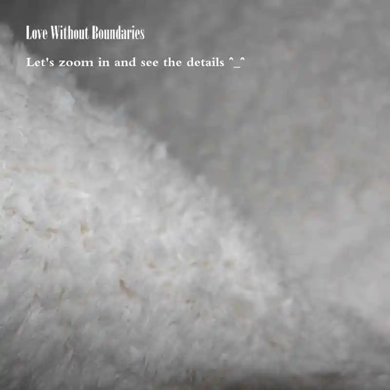 WHITE SNOW CARPET (11)