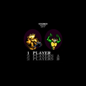 

Battletoads in Battlemaniacs 16 bit Big Gray Game Card For NTSC Game Player Drop Shipping